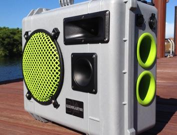 Picture of audio speaker